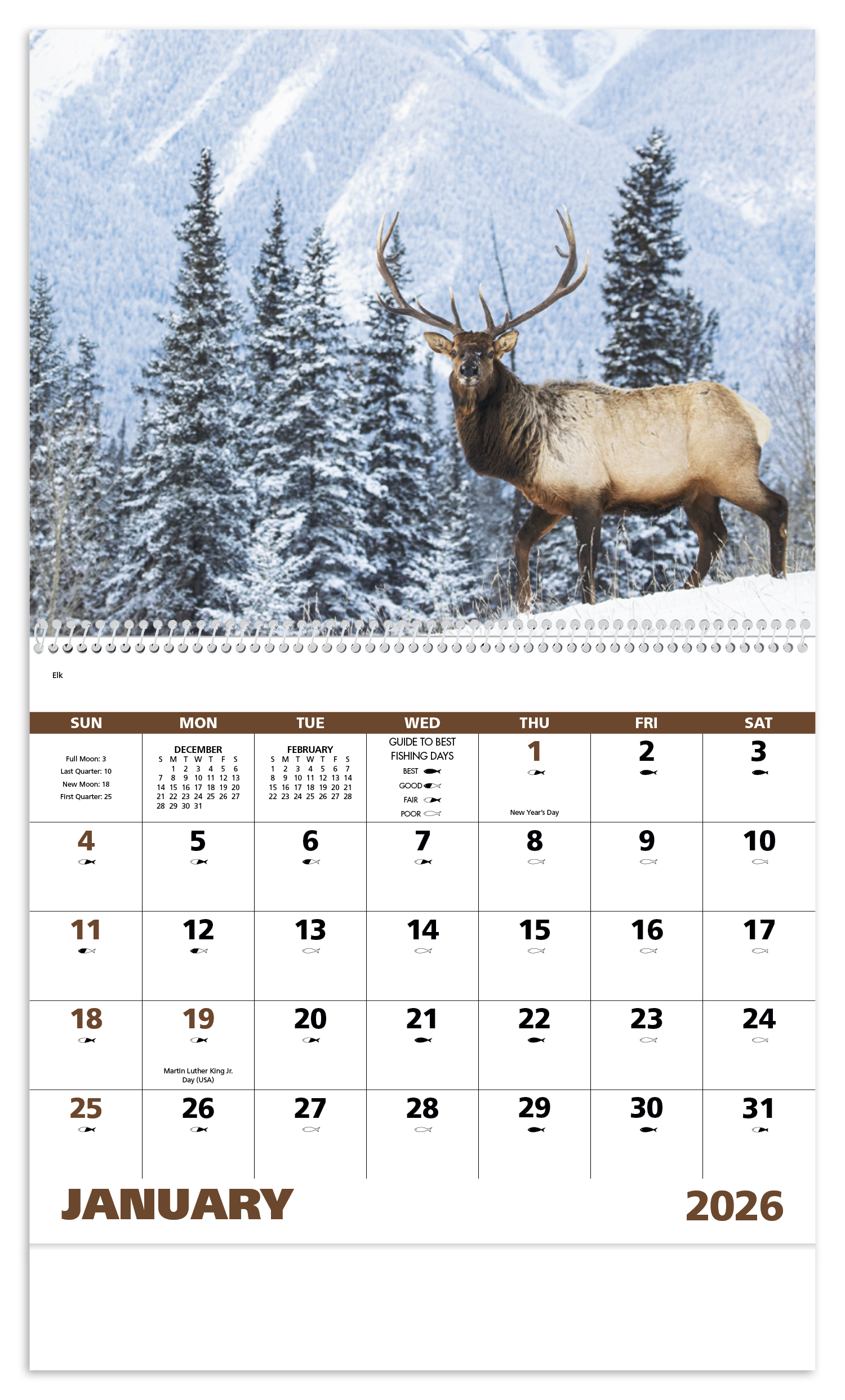 Good Value™ Wildlife Portraits - Spiral Calendar 45