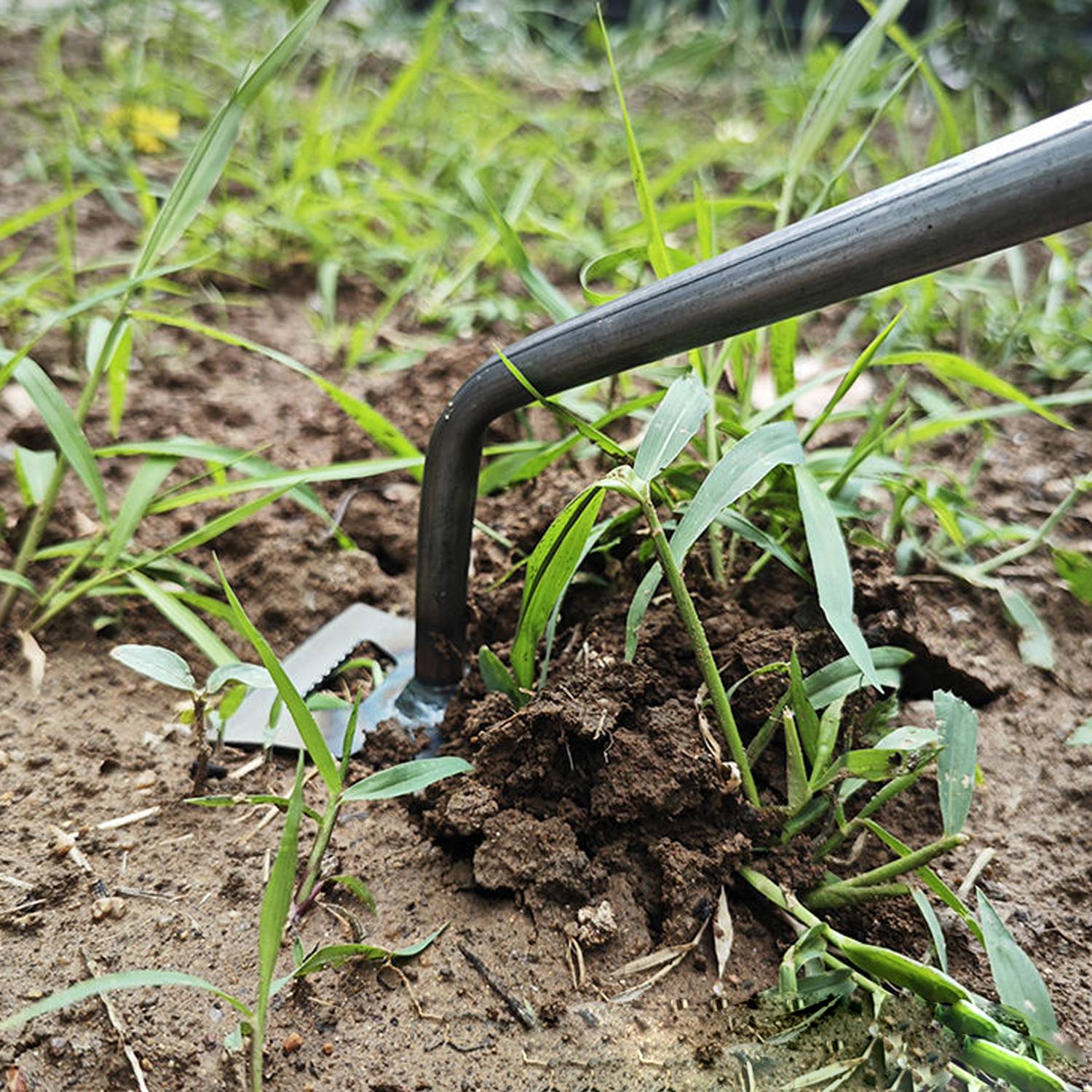 Horticultural Manual Durable Manganese Steel Weeding Tool 3