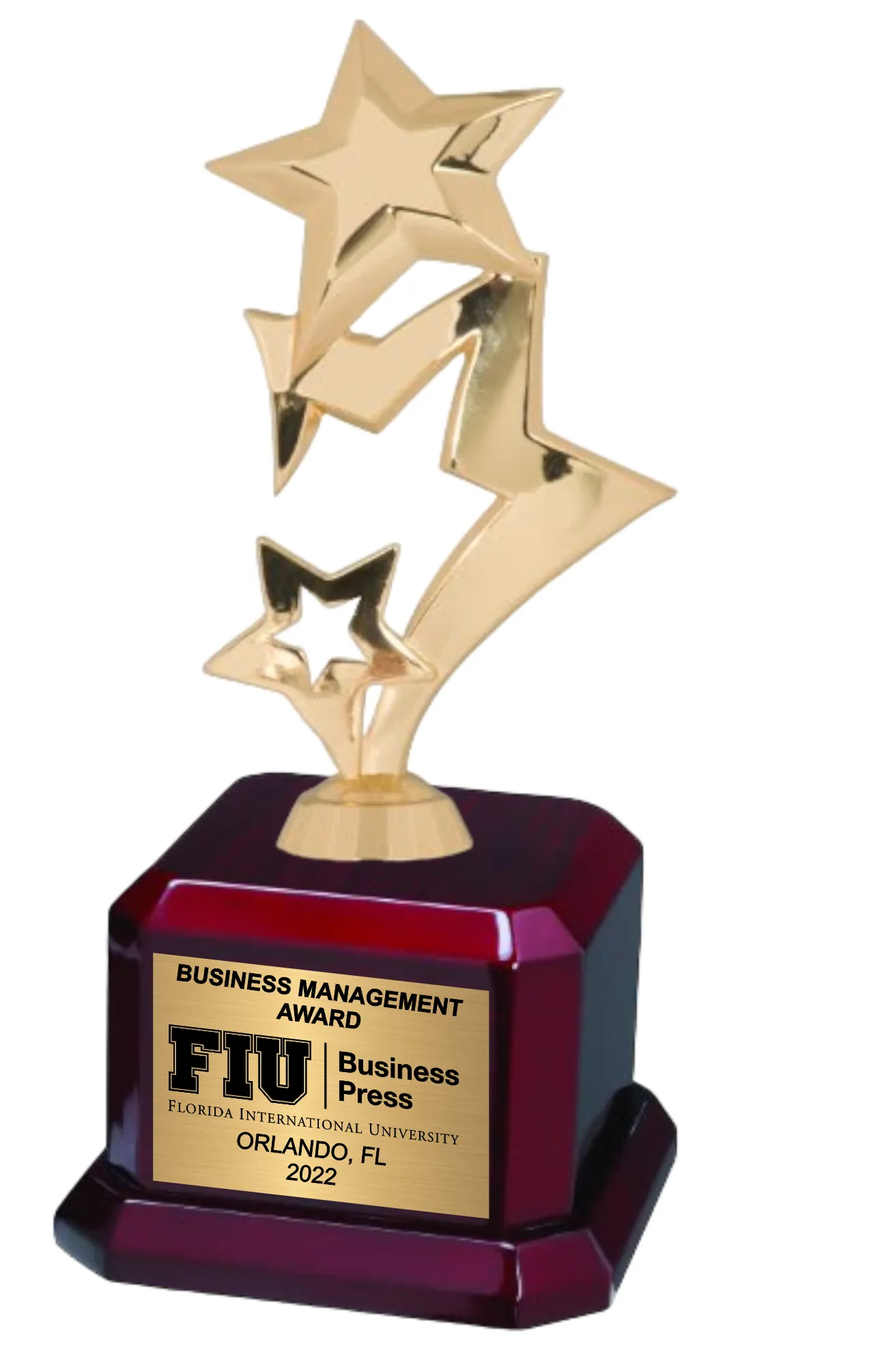 9 1/2" Star Trophy Award on Rosewood Royal Piano Finish Base 12