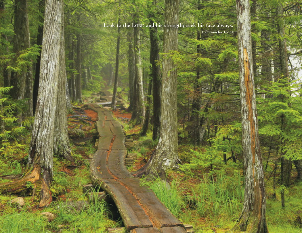 Triumph® Calendars World of Inspiration Calendar 3