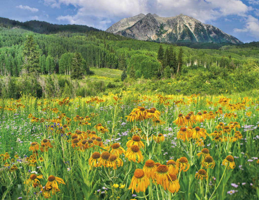 Triumph® Calendars Beautiful America Calendar 92