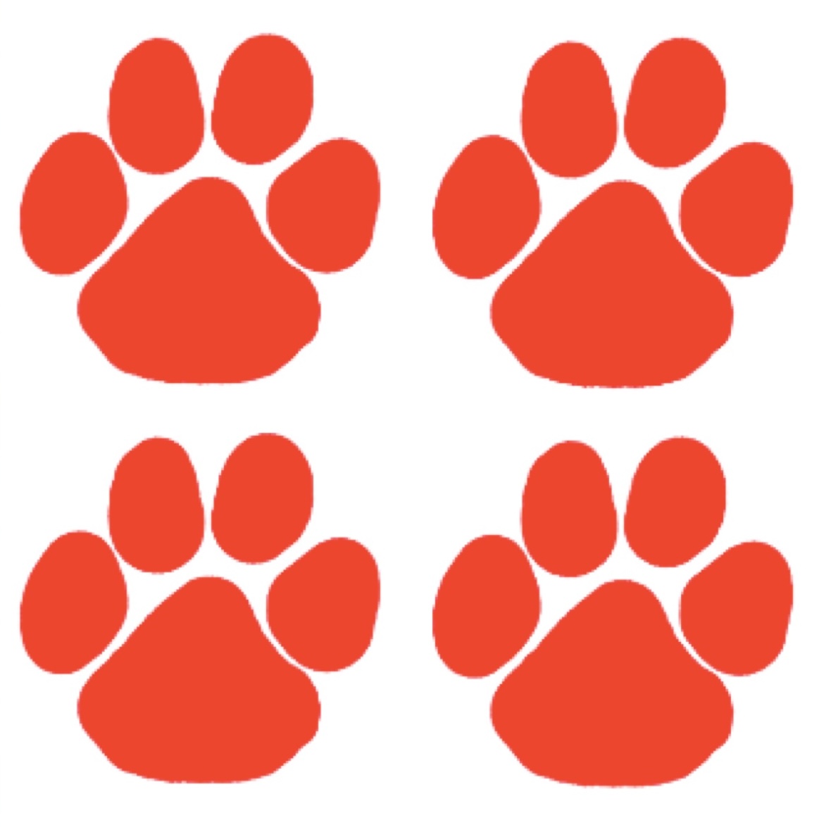 Paw Prints - Peel & Stick Tattoo Sheets of 4 Full color 2