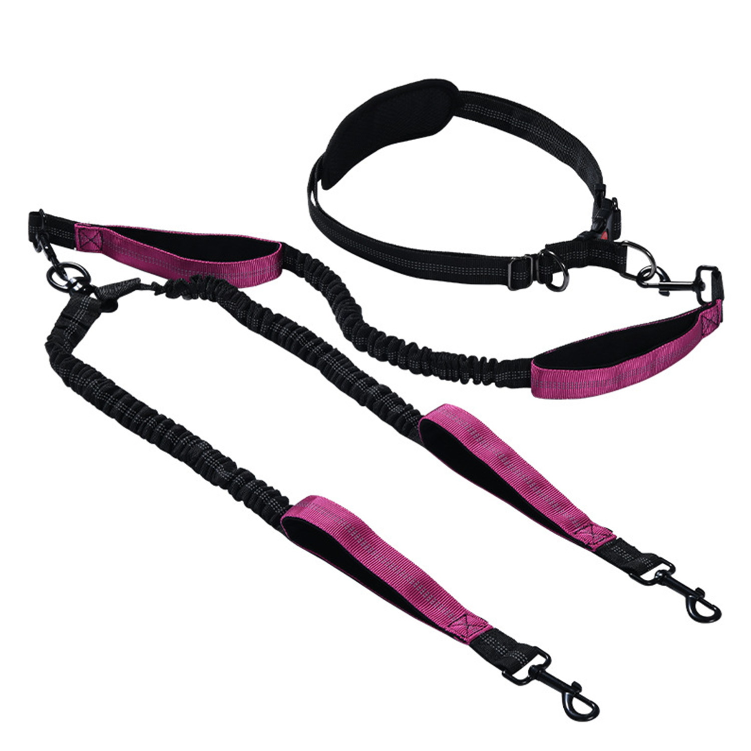 Multi-Function Pet Leash for Running & Fitness 5