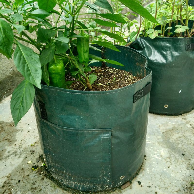 Potato Grow Bag 4