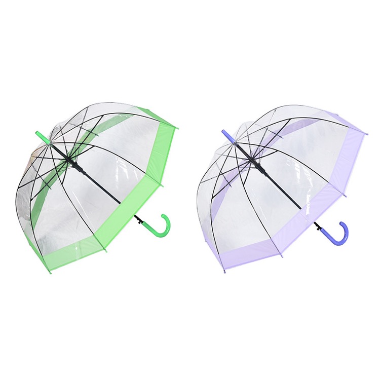 Clear and Transparent Umbrella 10