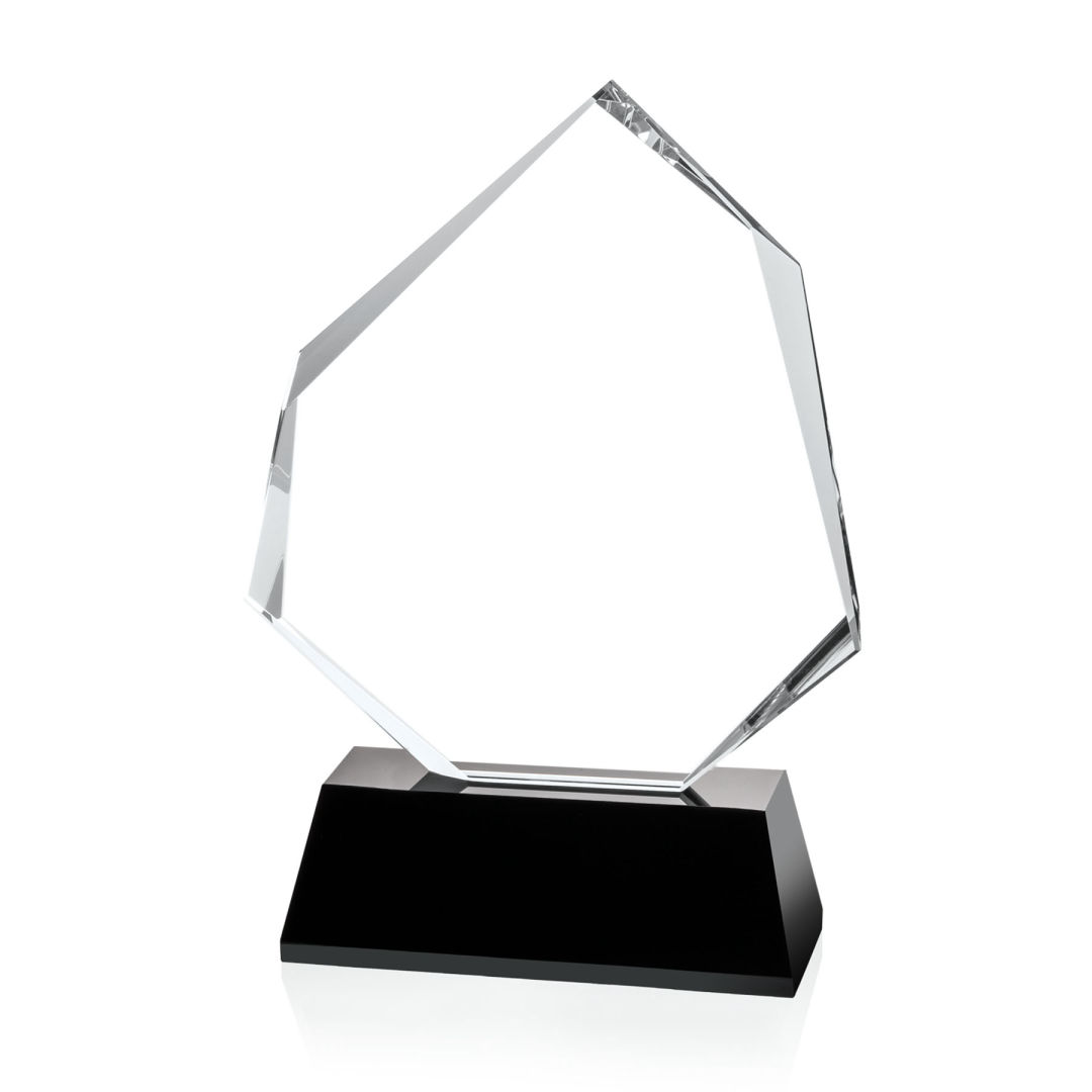 Warner Award - Black 4