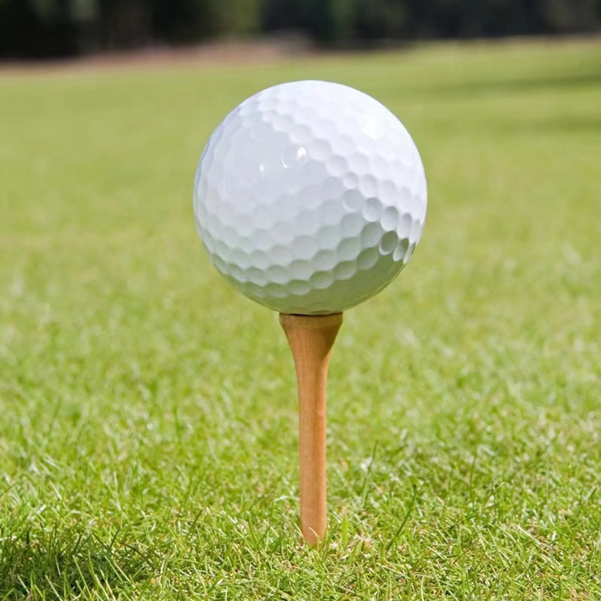 Single Golf Ball MOQ100 1