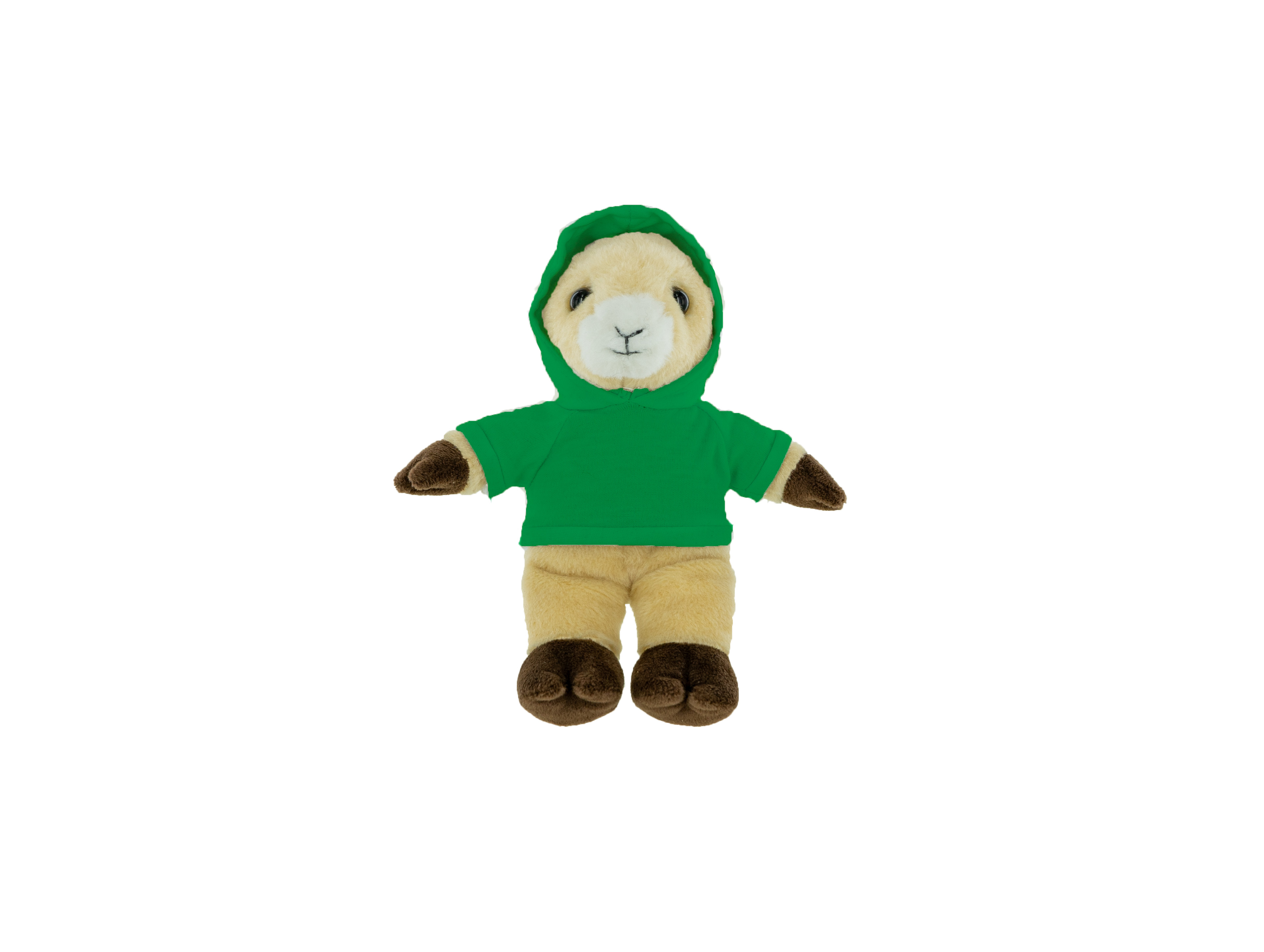 Plush Ram with Hoodie 13