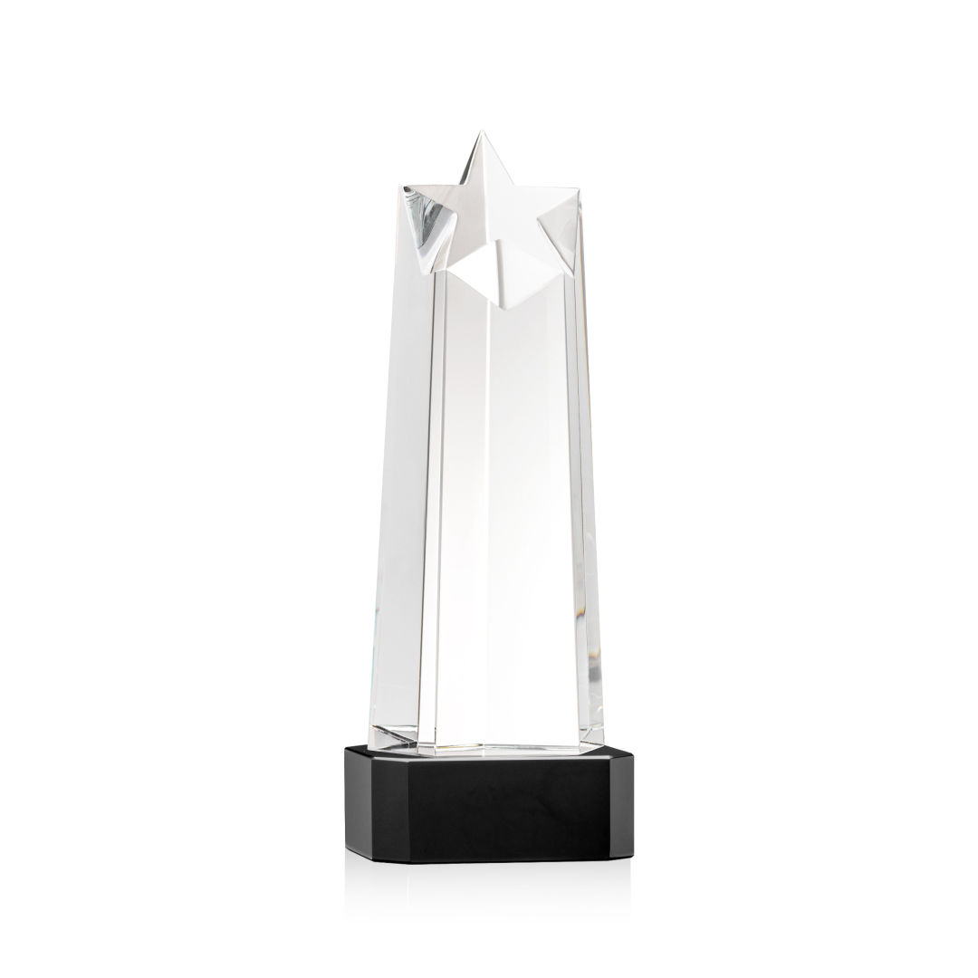 Delaware Star VividPrint™ Award on Base - Black 7