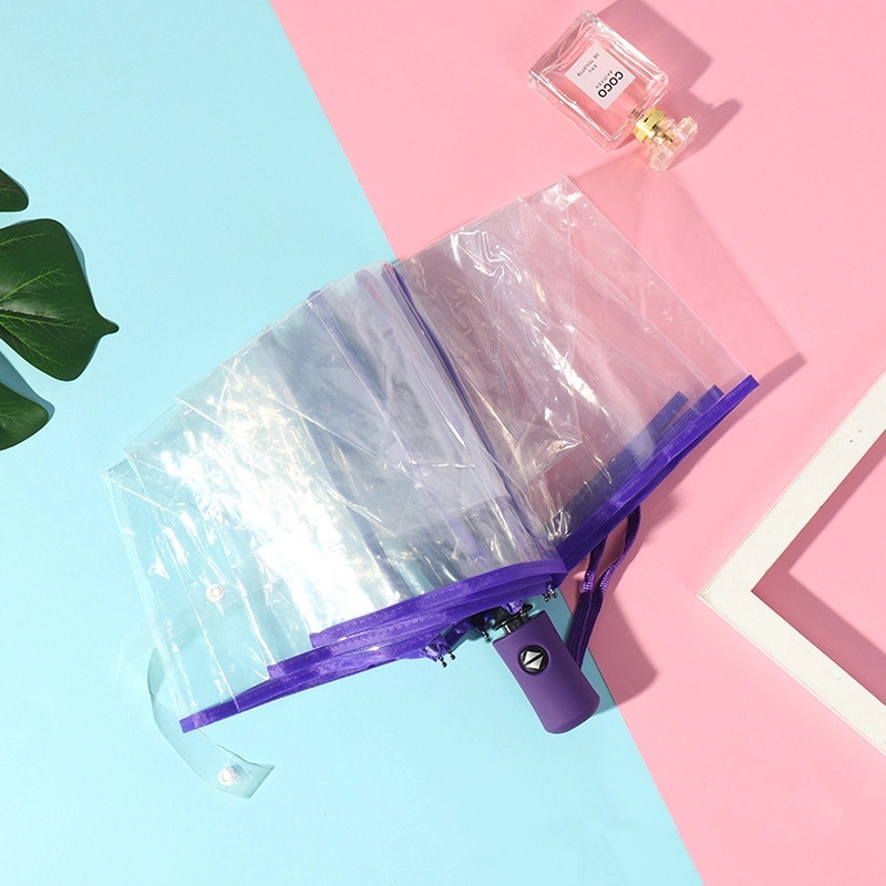 Clear Umbrella 4