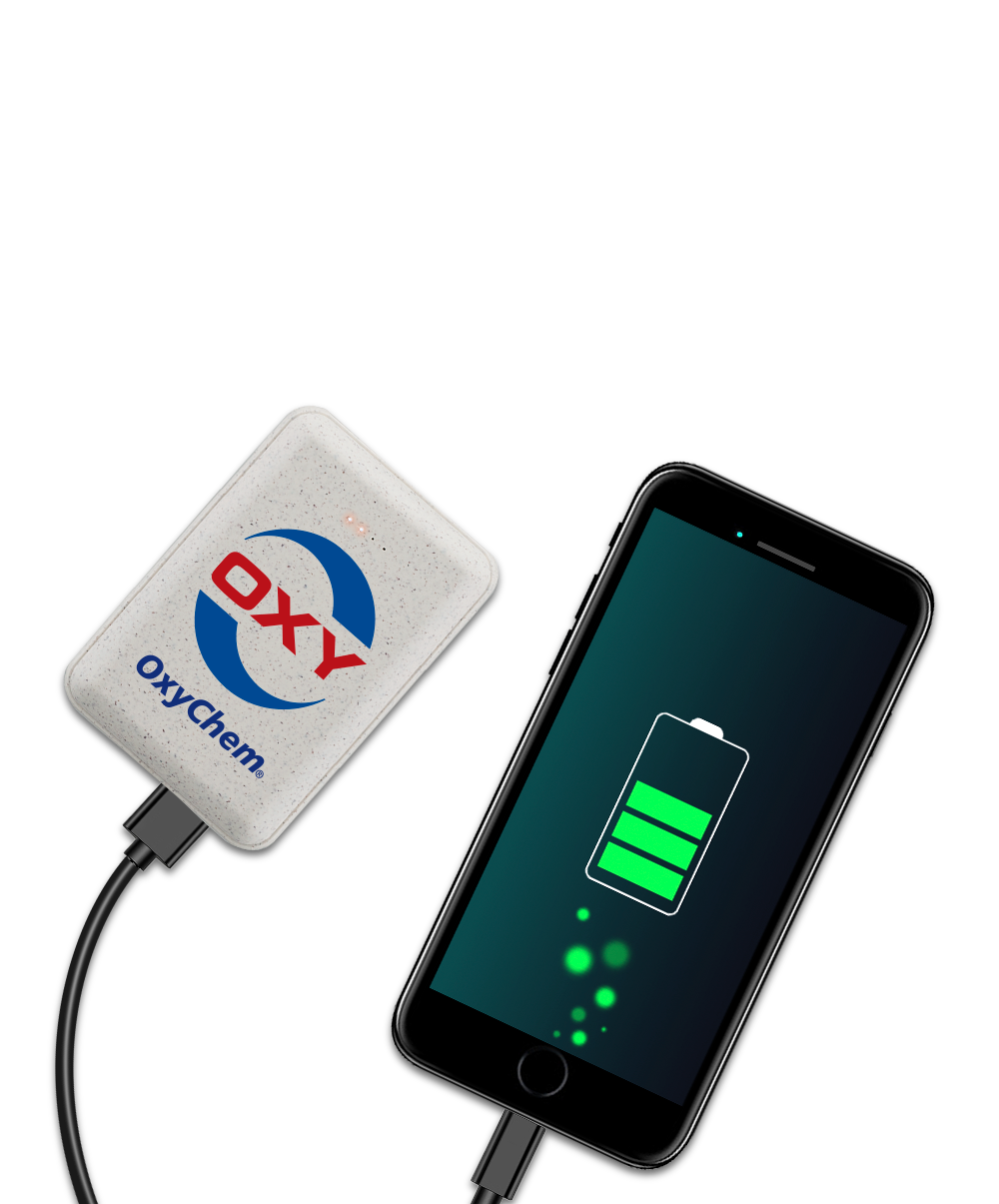 Emmer Eco-Friendly 10,000mAh Power Bank 6