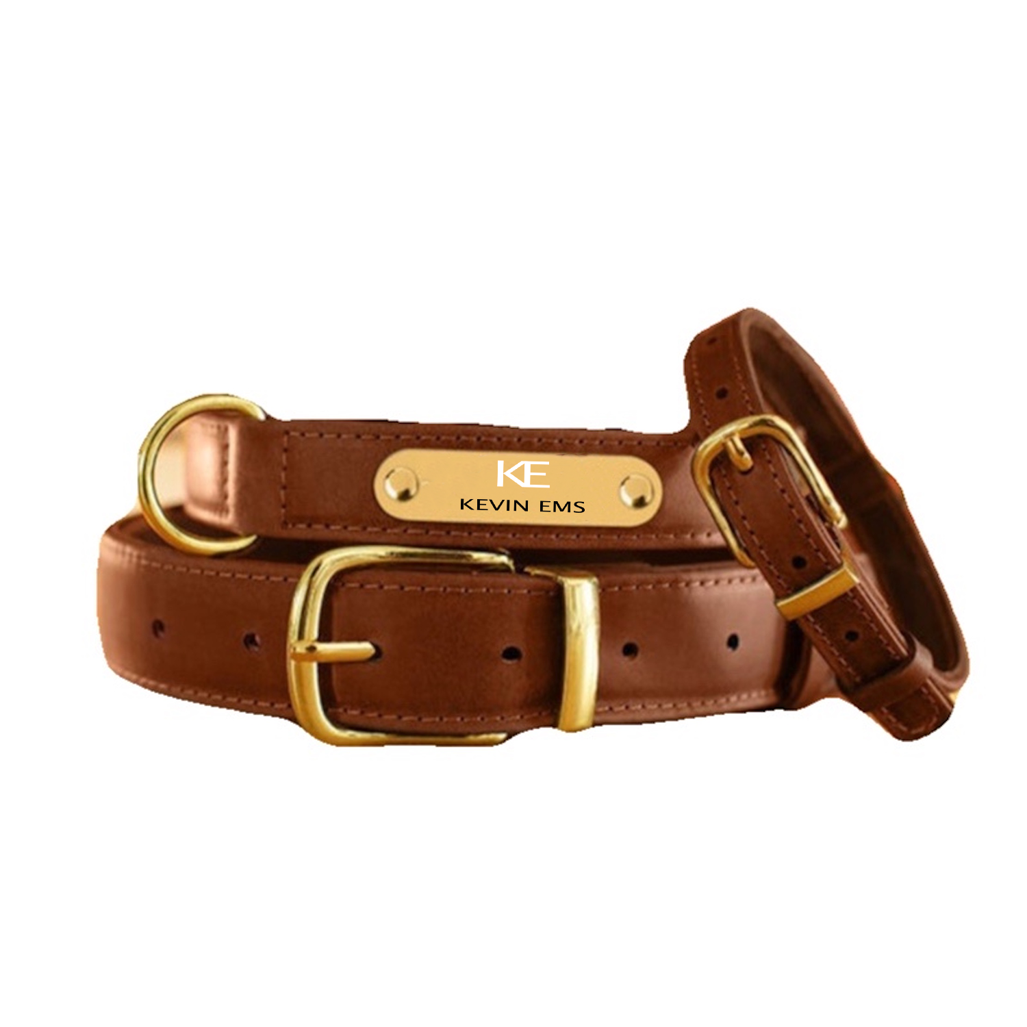 Dog Collar 1