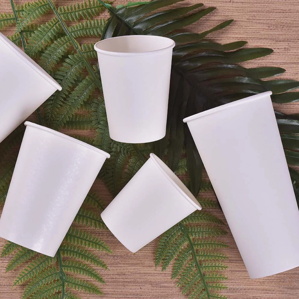 Custom Eco-Friendly Degradable PLA Coffee & Beverage Cup 3