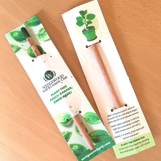 Sprout Pencil With Double-Sided Basil Seed Paper 2