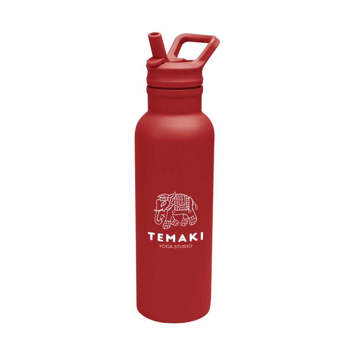 17 Oz. Hailey Recycled Stainless Steel Bottle 32