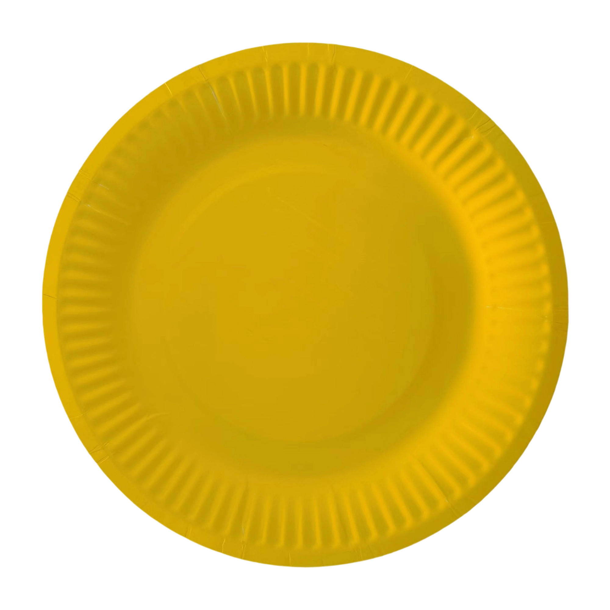 Nine Inch Party Paper Plate Food Safe Disposable 16