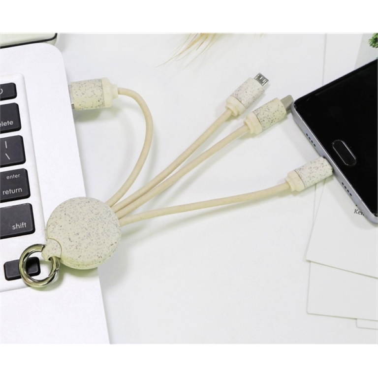 Eco-friendly 3-In-1 Charging Buddy With Key Chain 2