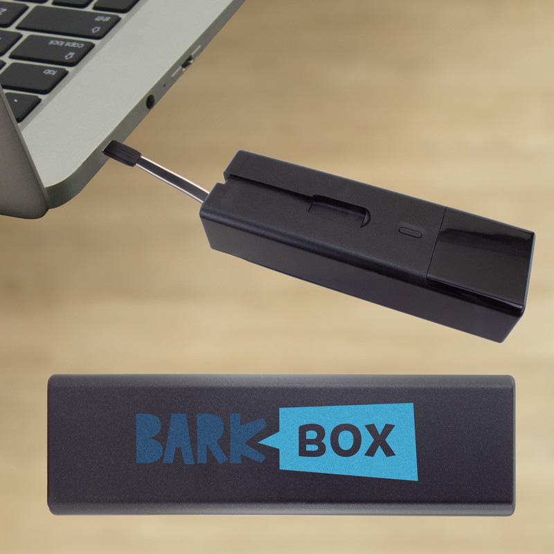 100W Power Bank w/ Type-C Input/Output 21