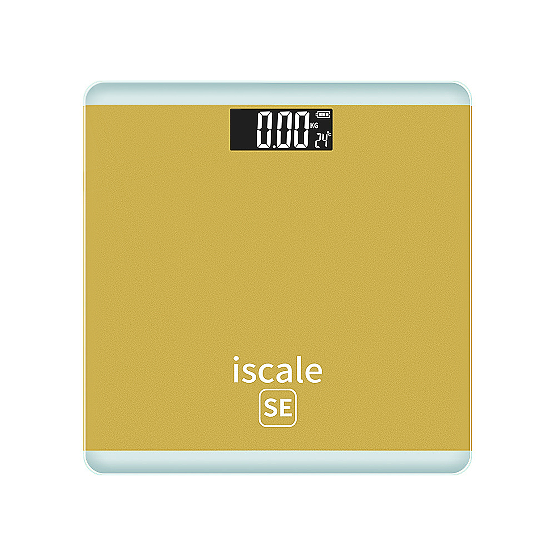 Julian Electronic Scale 6