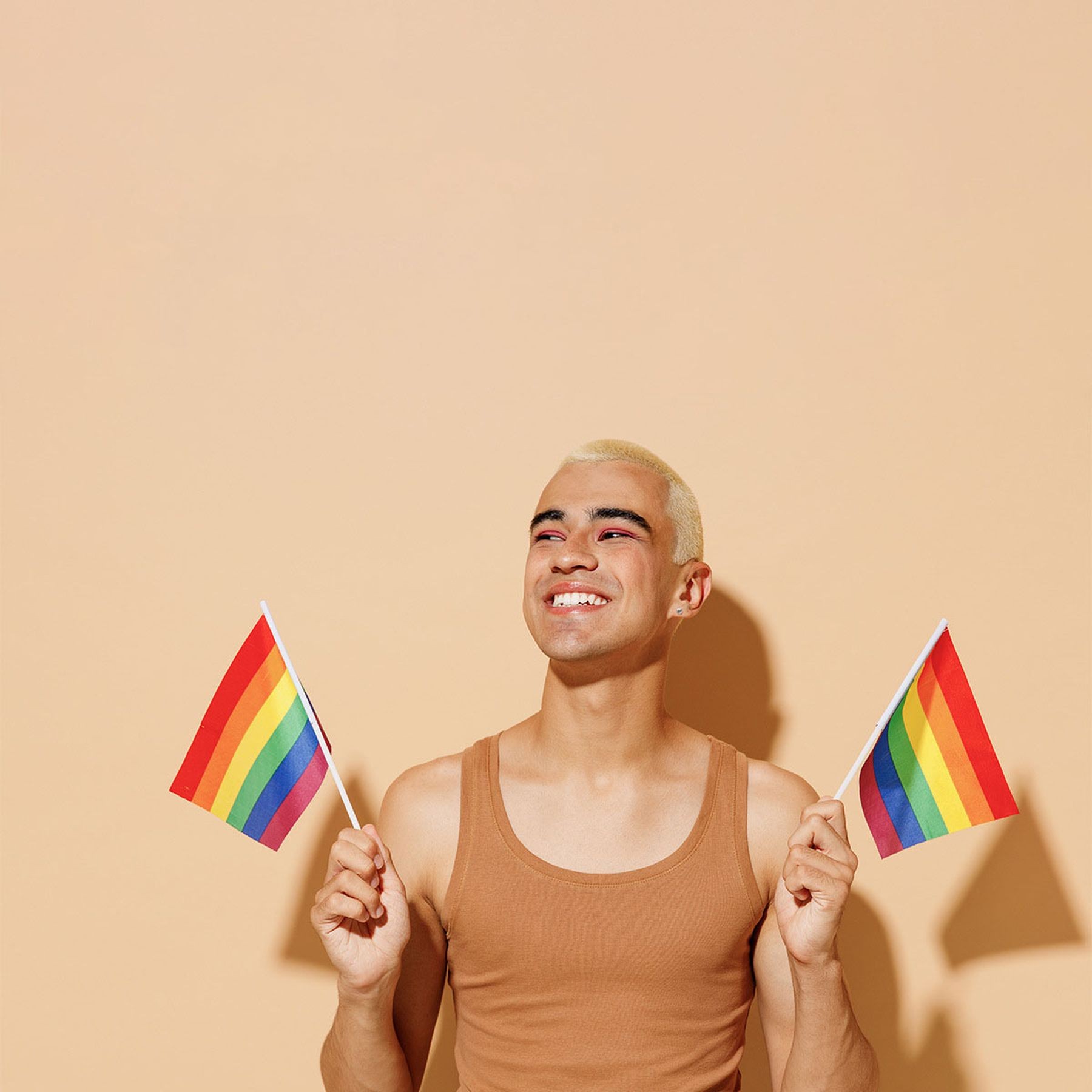 Rainbow Pride Flag Small Hand Held Stick Flag 7