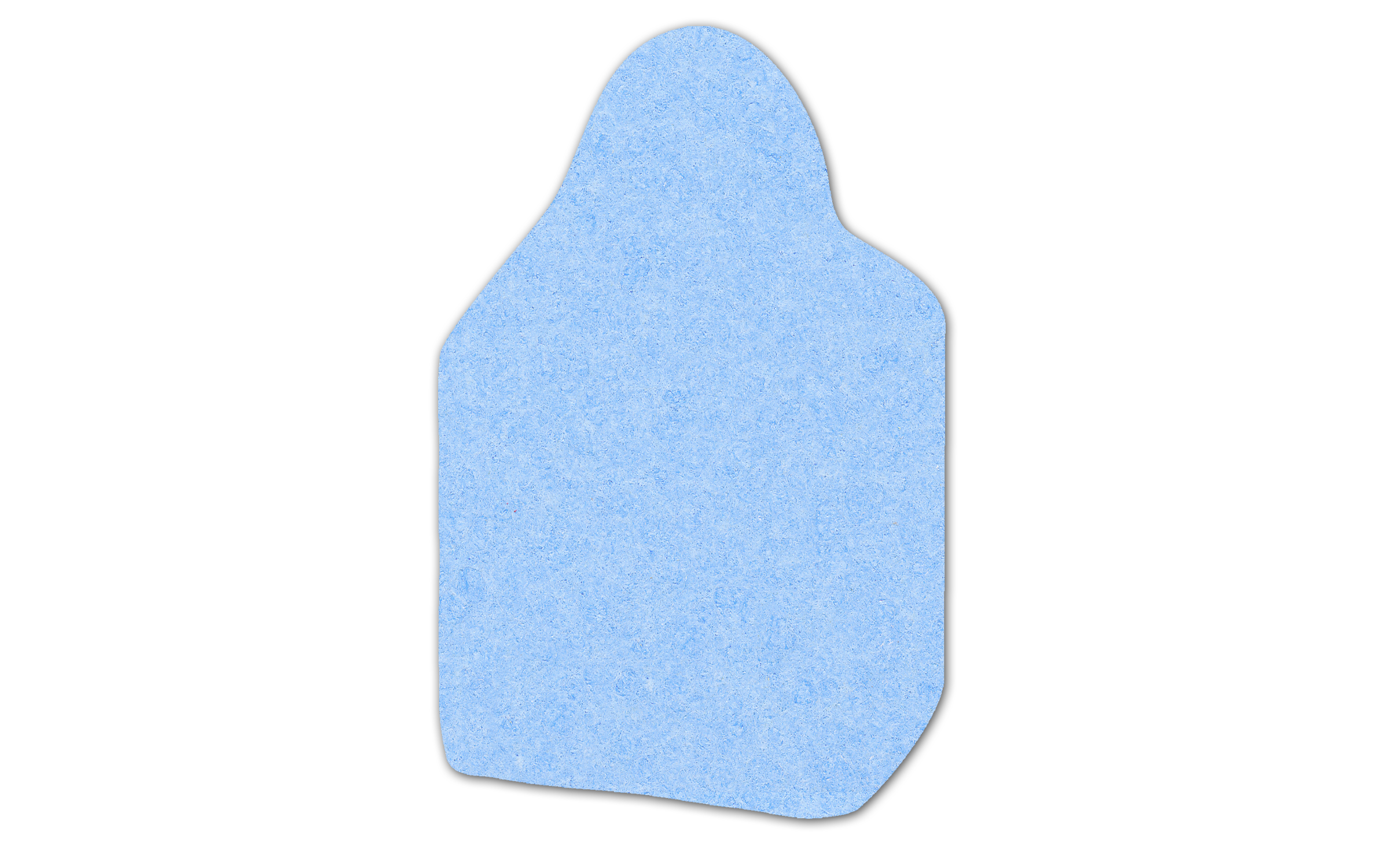 Tote Bag Compressed Sponge 2