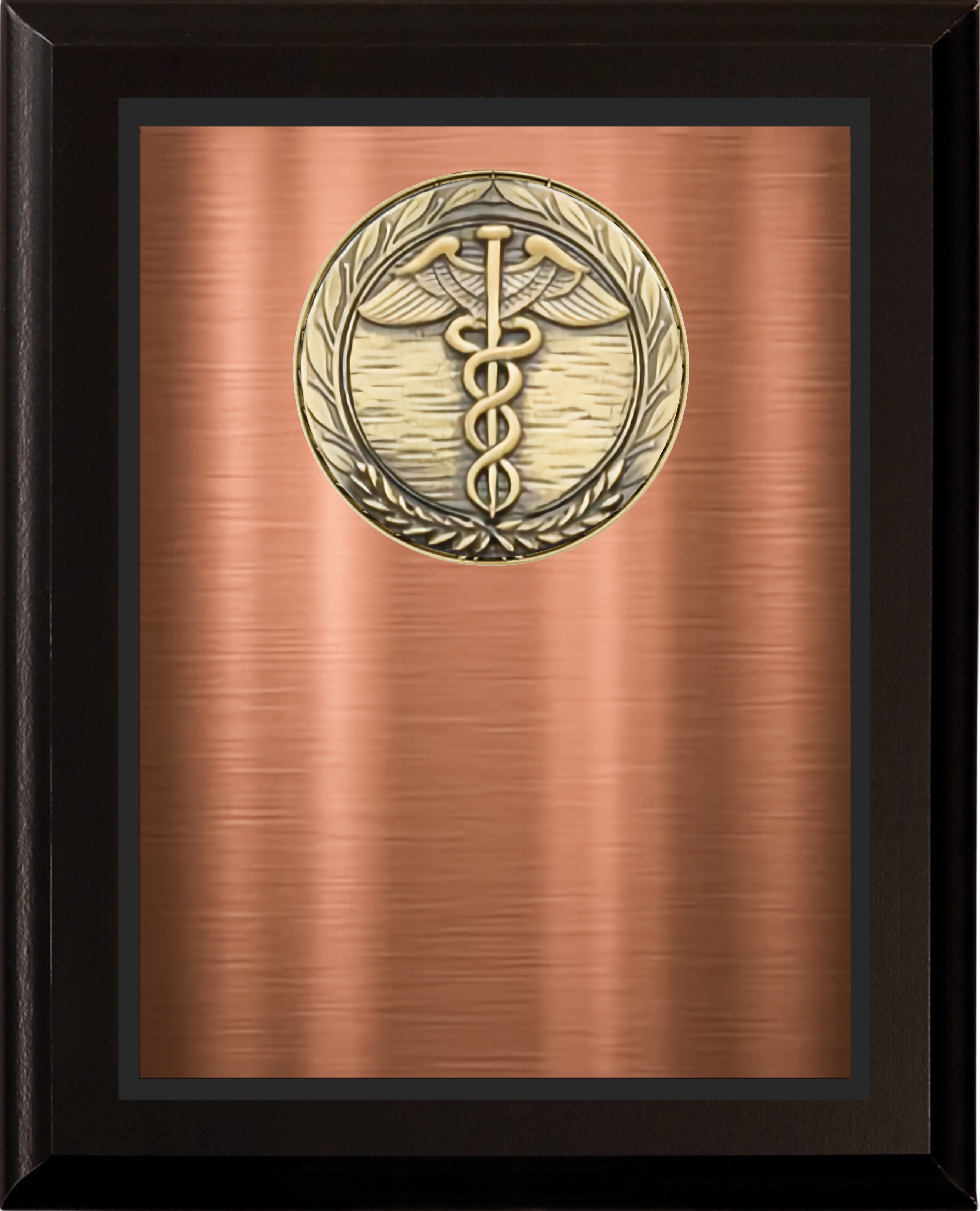 Black Matte Finish Wood Plaque w/Double Plate and Medallion 12