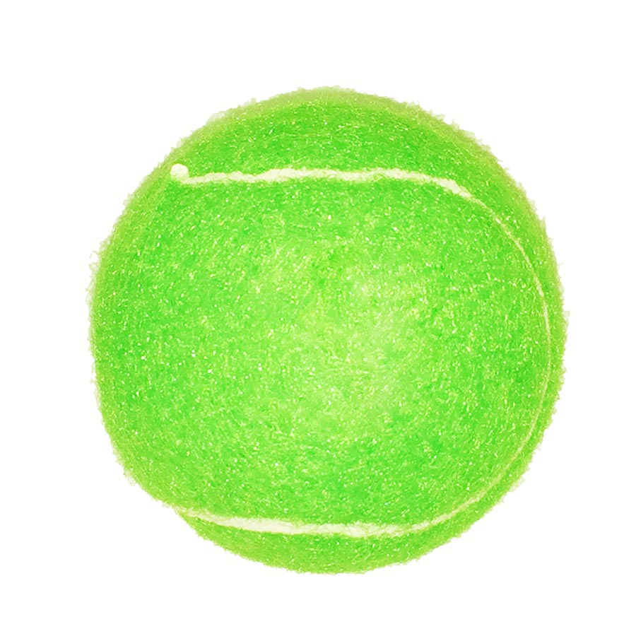 Full Color Fido's Dog Ball 4