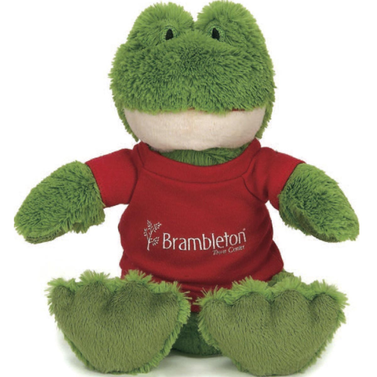 10" Soft Plush Friend- Frog 6