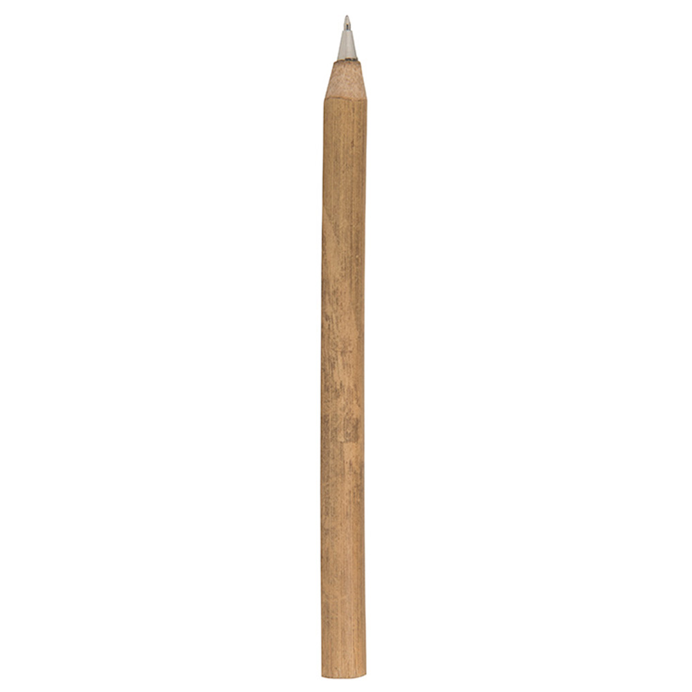 Bamboo Pen 2
