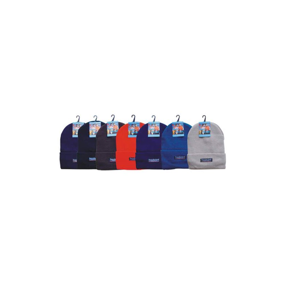 Bulk Adult Insulated Ski Hats Assorted 2