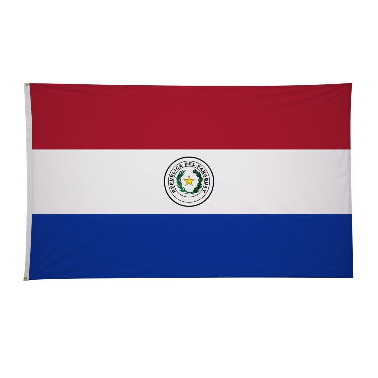 6' x 10' International Flags 27
