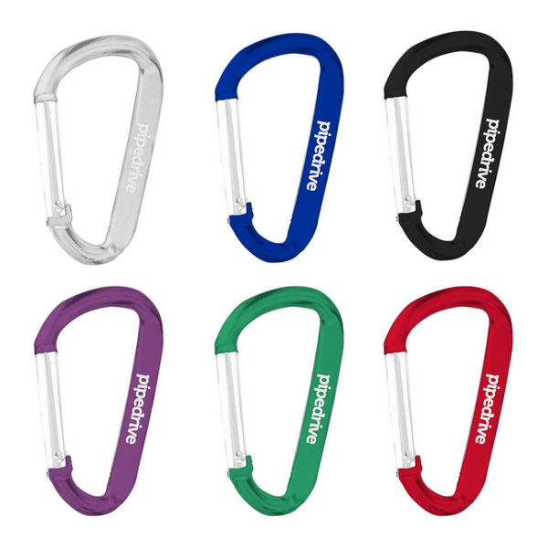 Carabiner Keychain 6