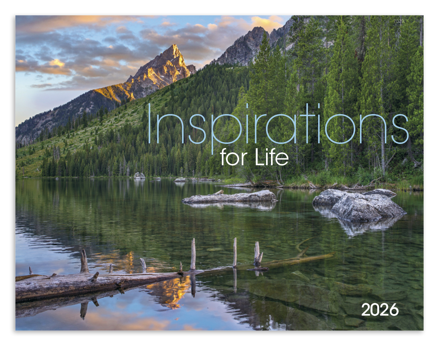 Good Value™ Inspirations for Life - Window Calendar 17