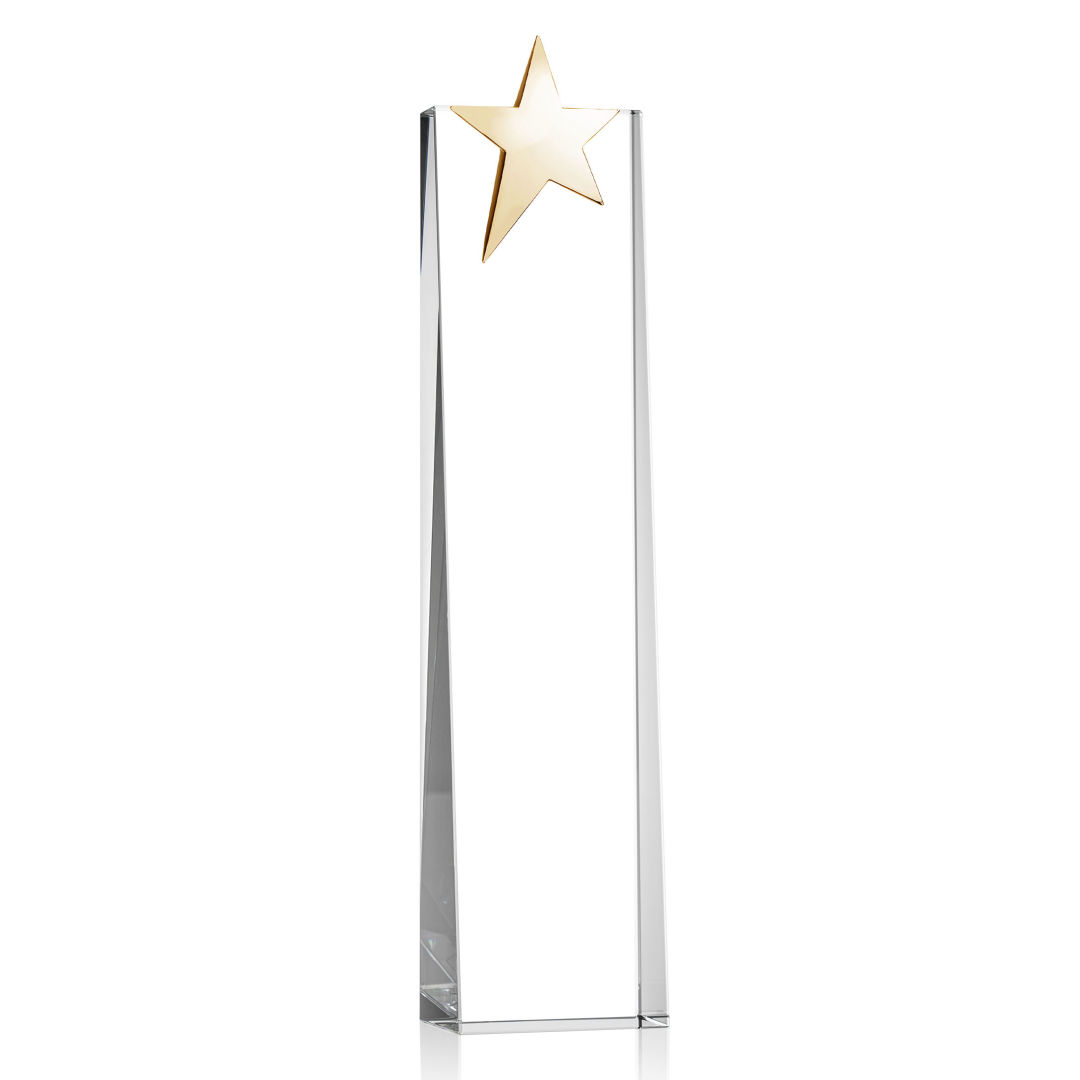 Fanshaw Gold Star Award 9