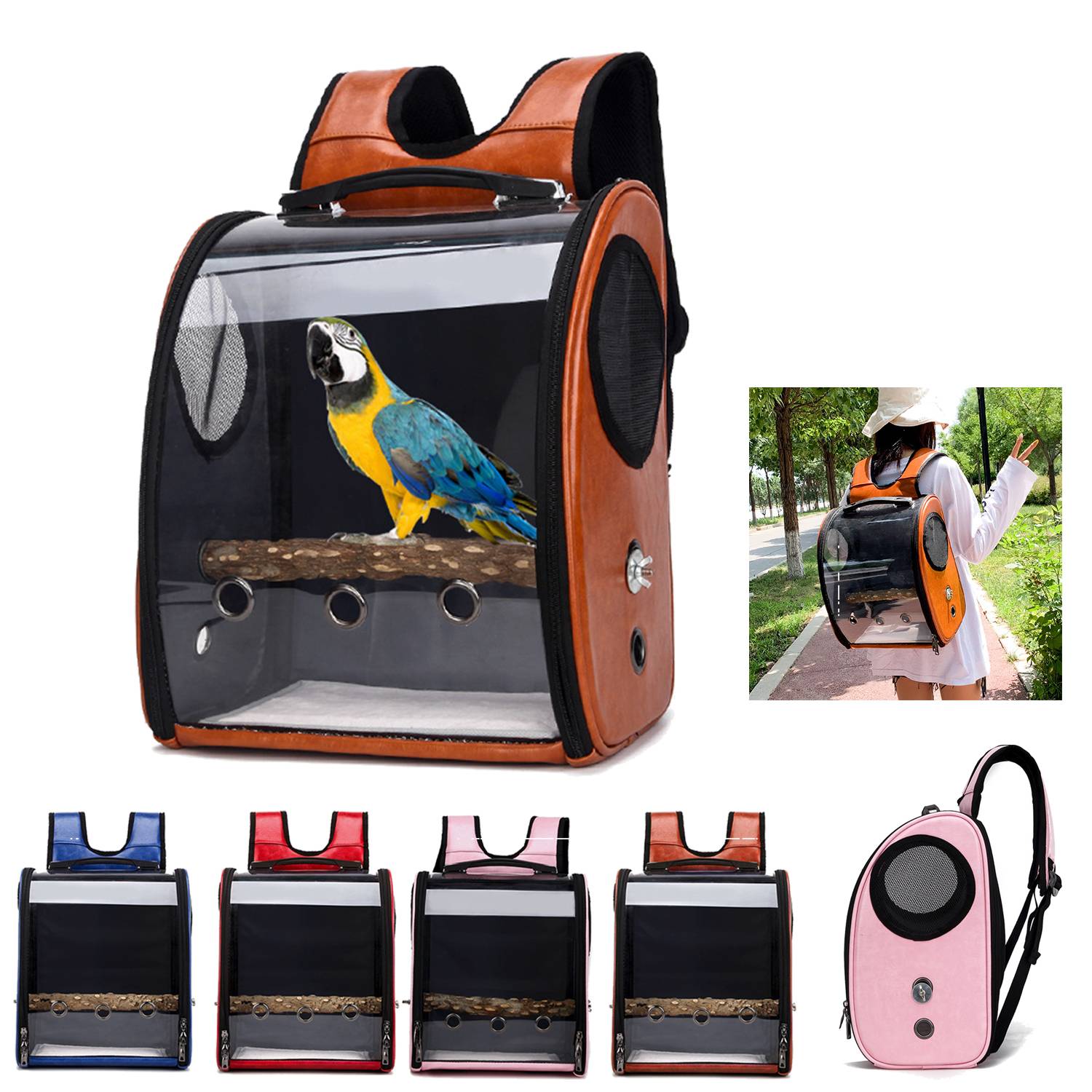 Clear Breathable Parrot Outdoor Backpack 14
