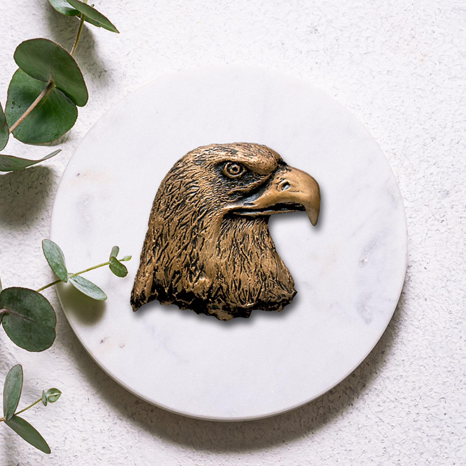 Eagle Head Bronze Accent 3