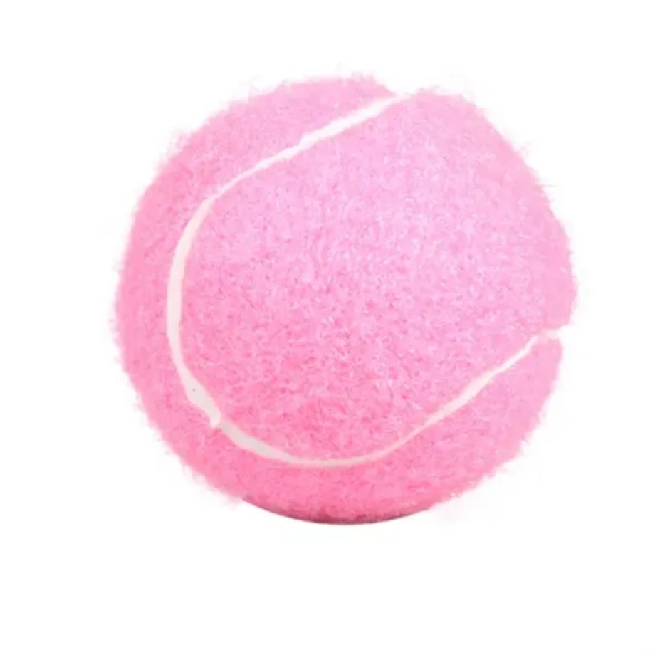 Pet Tennis Ball 1