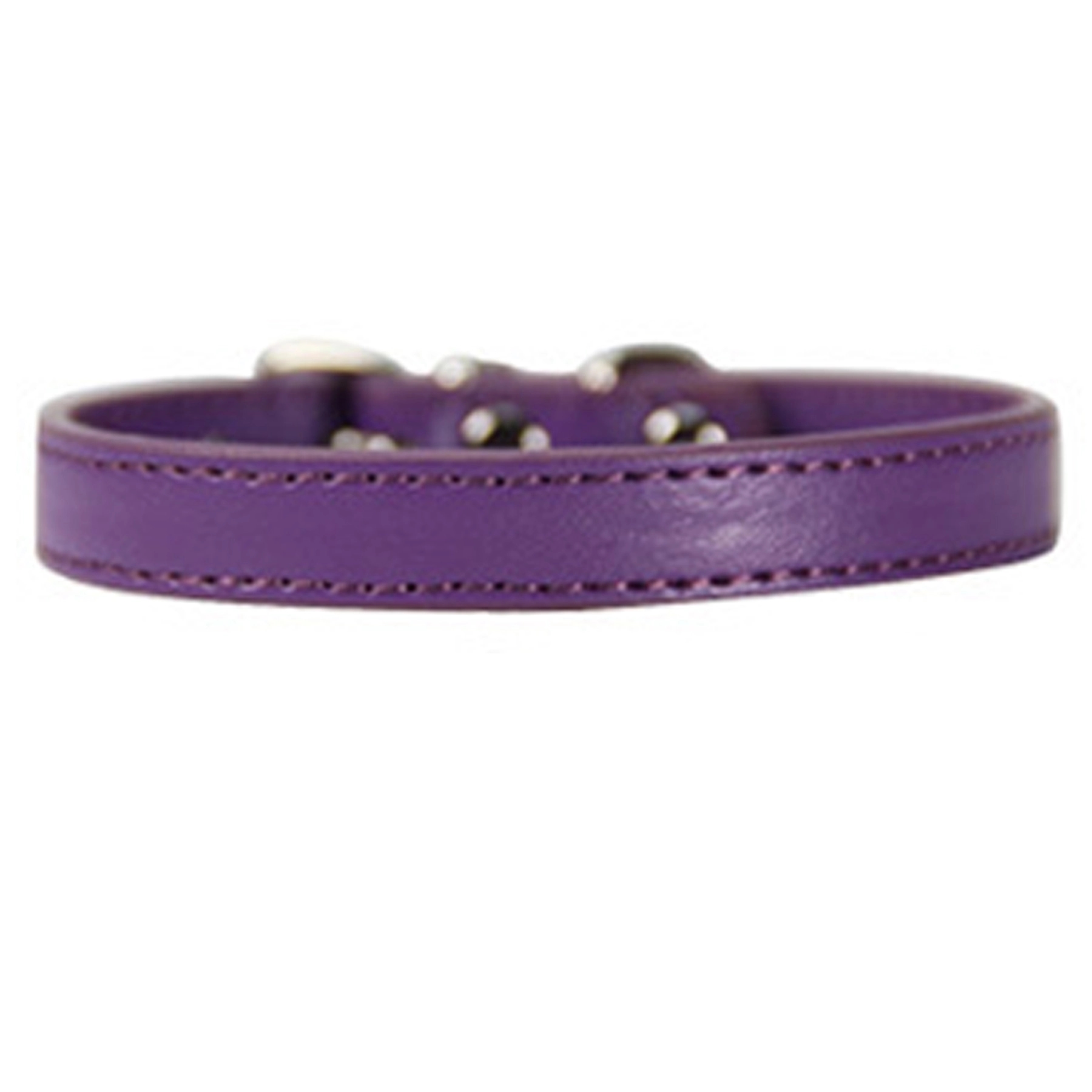Pet Collar 7