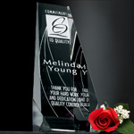 Wedgewood Award 9