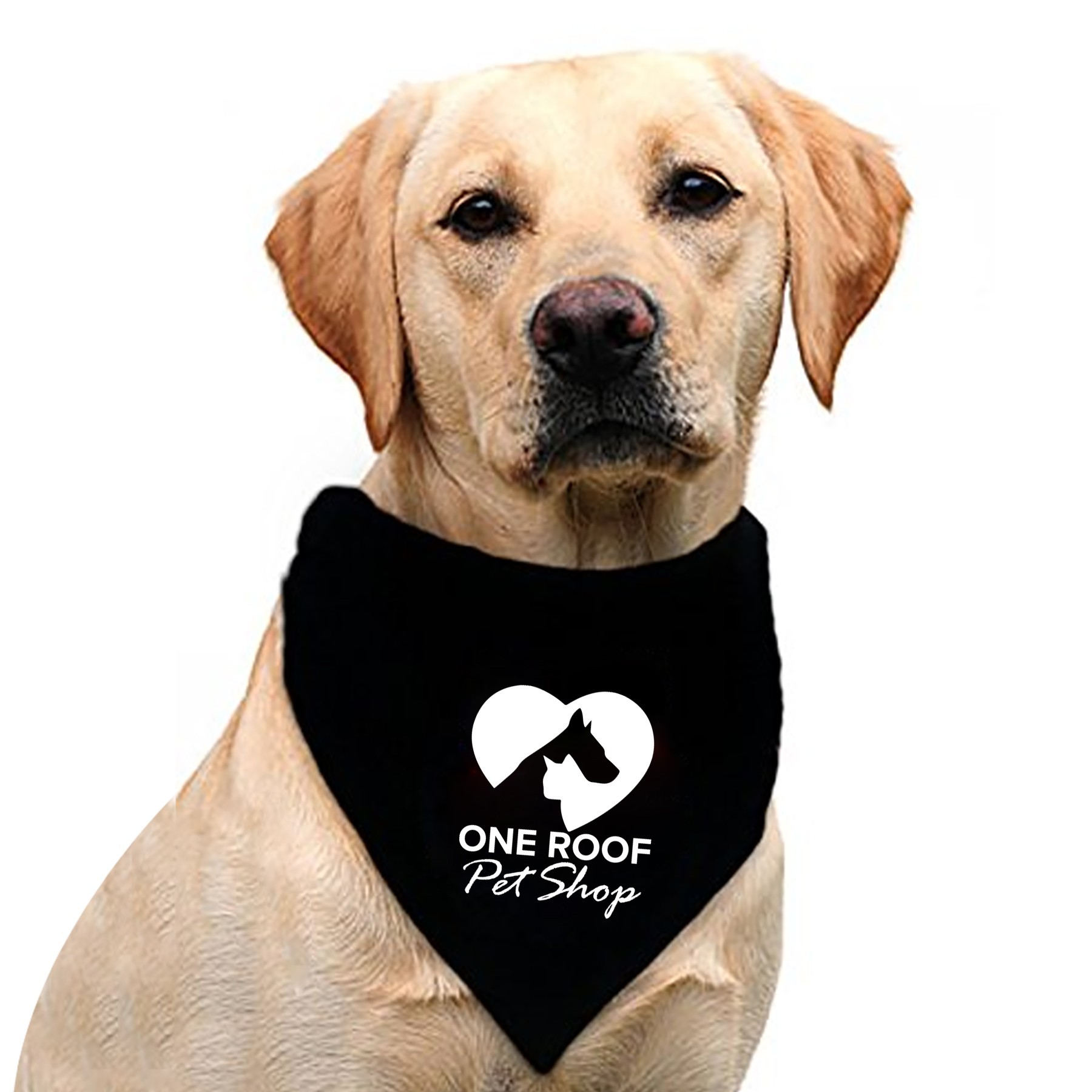 Pet Triangle Bandanna 1