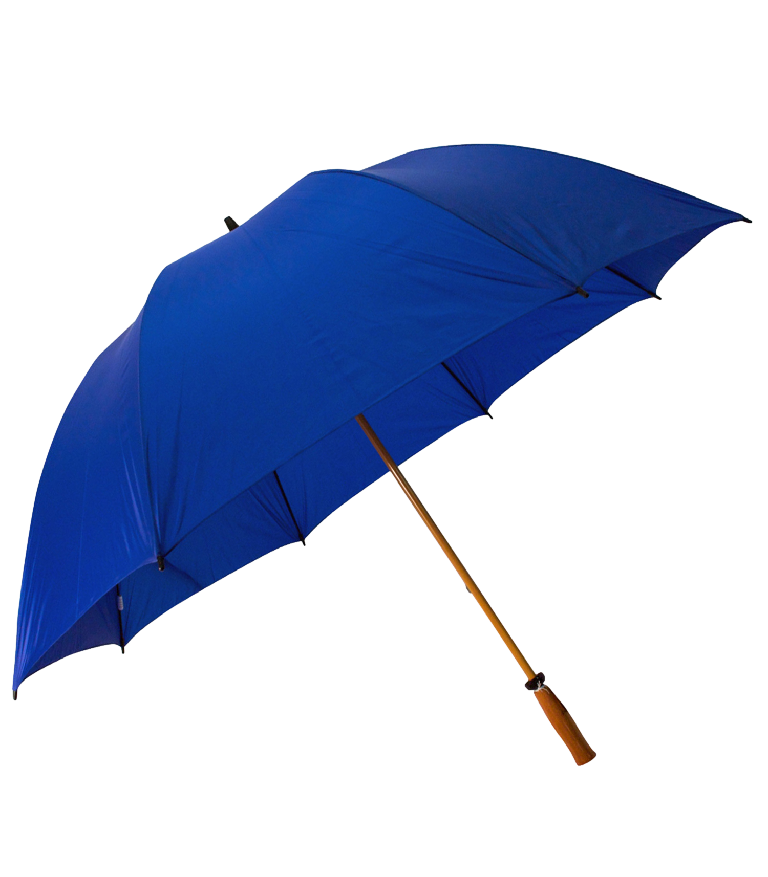 The Mulligan Golf Umbrella