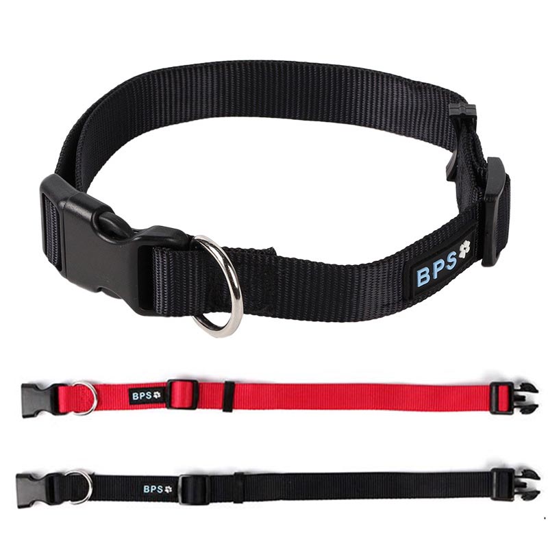 Nylon Dog Collar 2