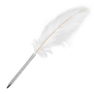 Feather Metal Pen With Gift Box 17