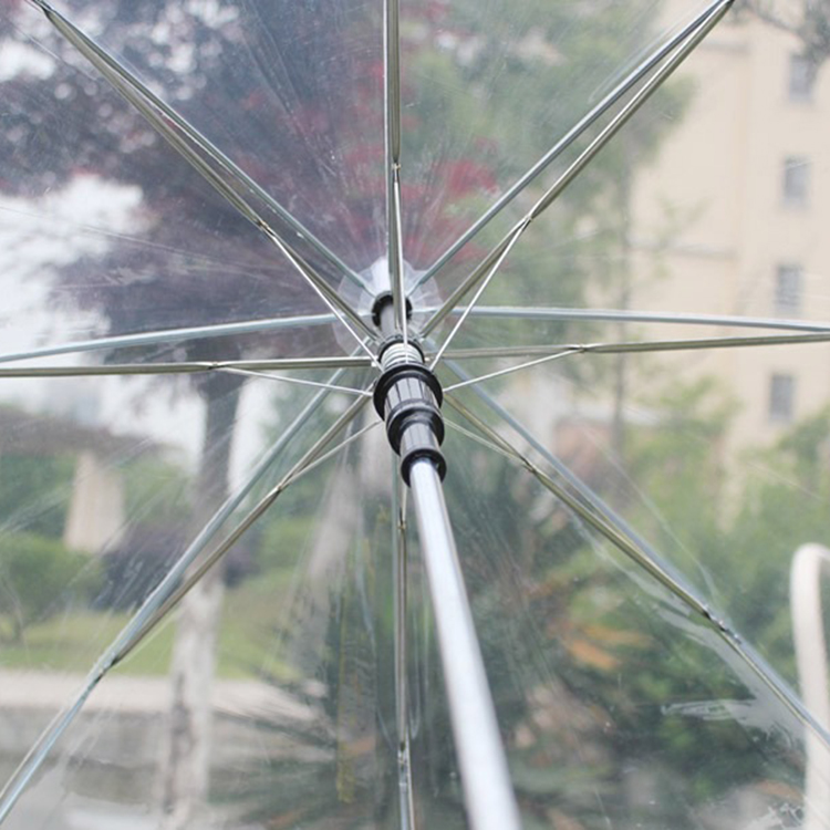 Clear Umbrella 1