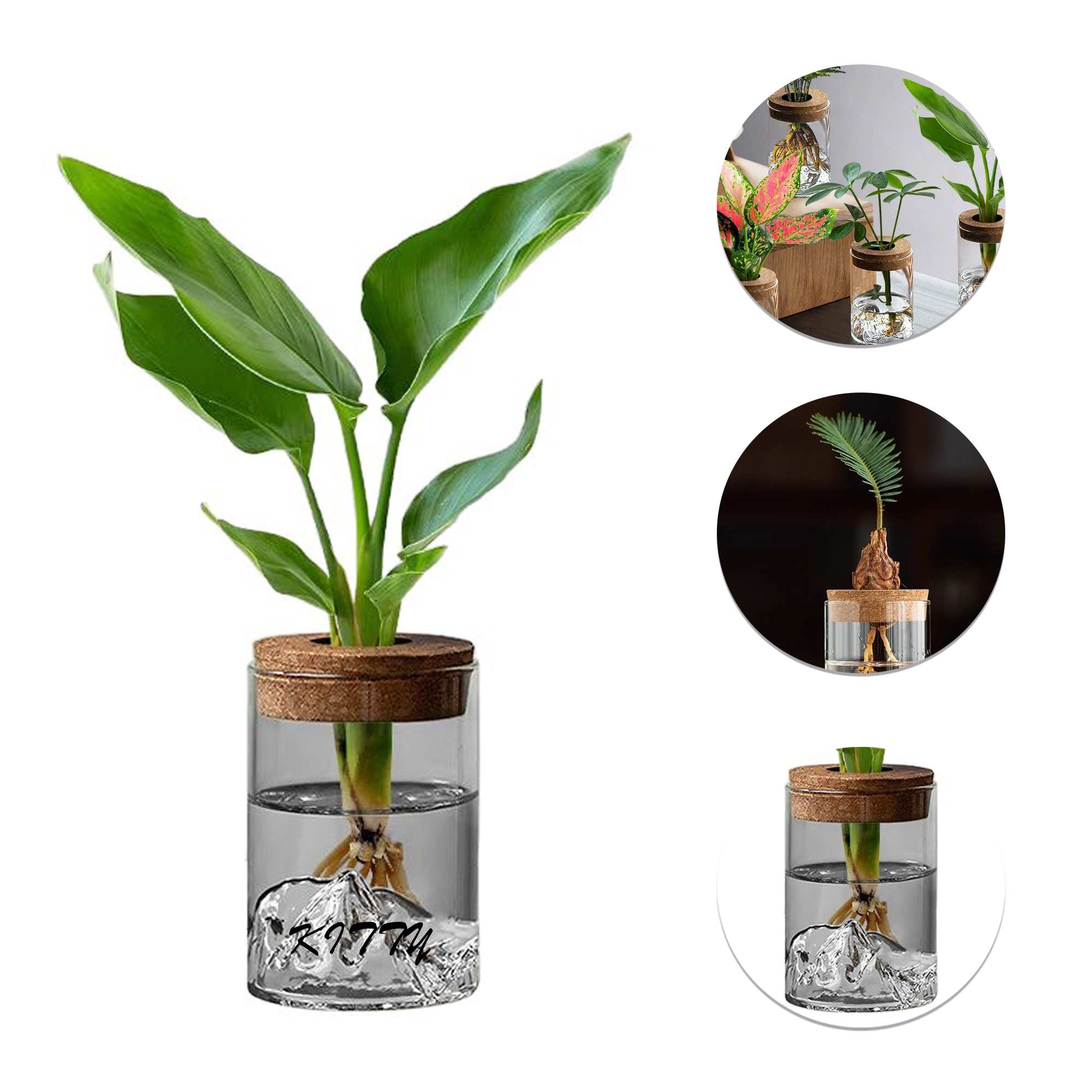 Hydroponic small potted plant