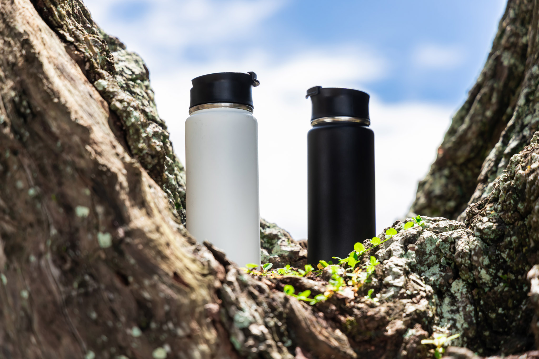 20 oz Everest Tumbler 21
