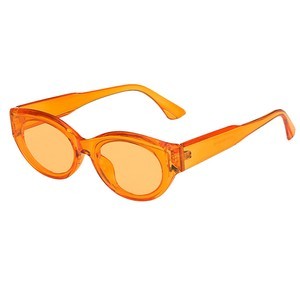 Classic Sunglasses 1