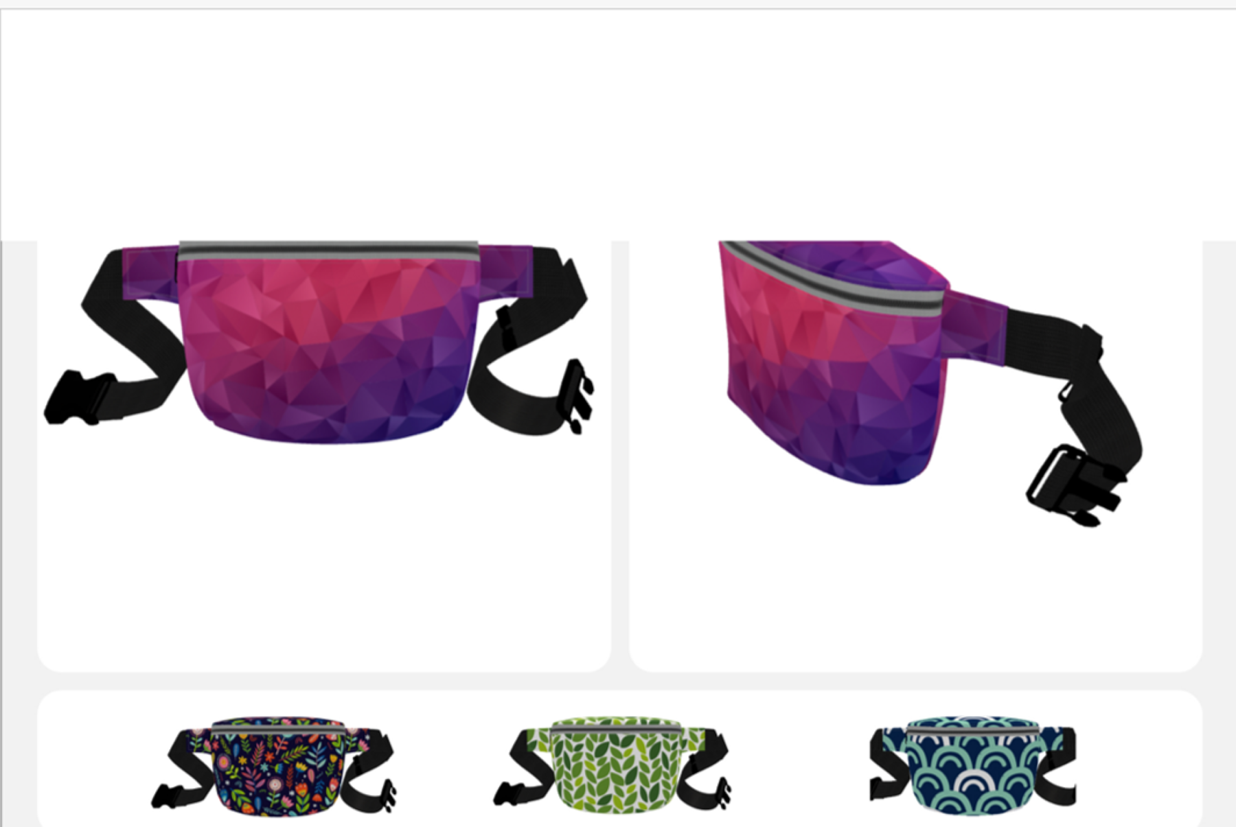 Fanny pack 1