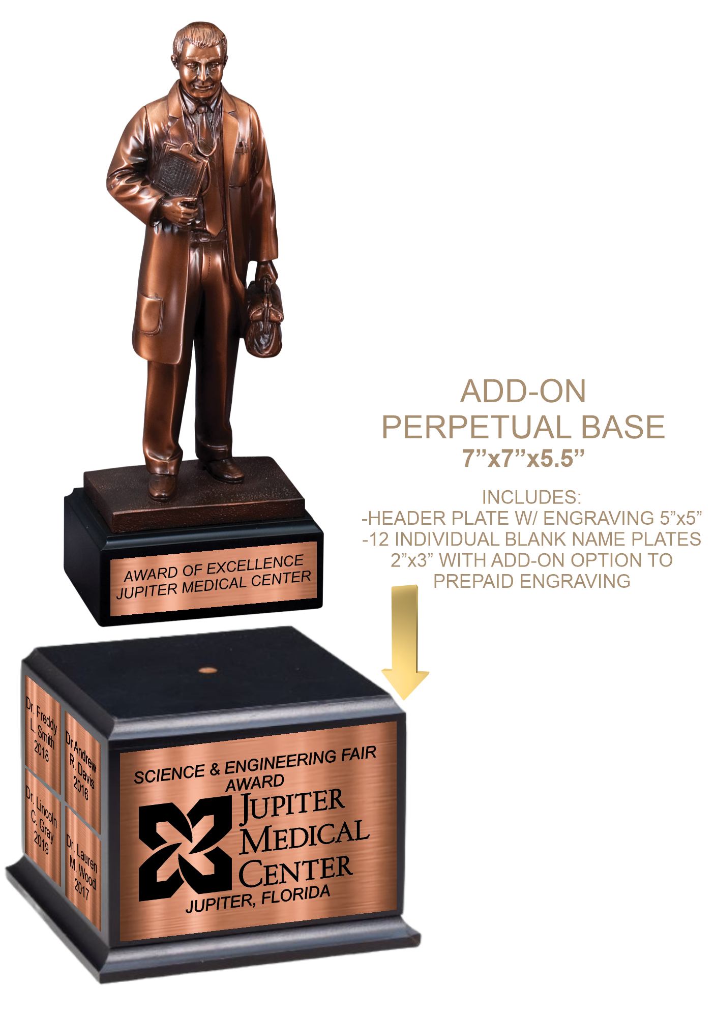 11 1/2" Premium Gallery Sculpture Bronze American Hero M.D. Doctor Physician Trophy Award 5