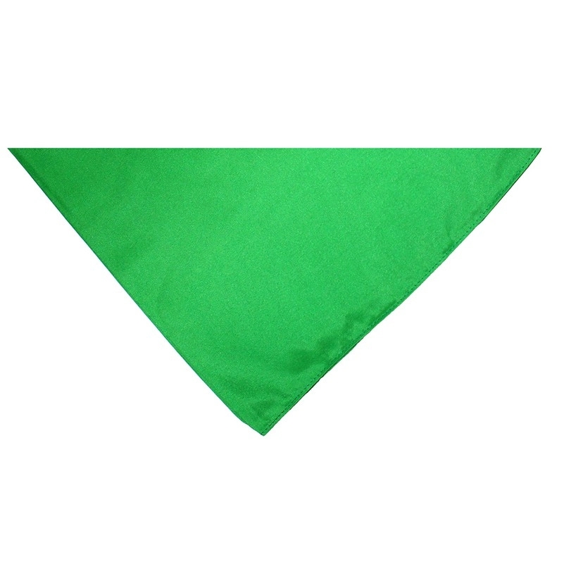 Dog Triangle Bandana 2
